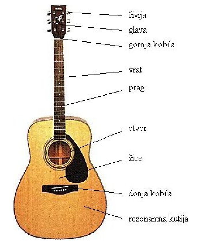 Delovi akustične gitare